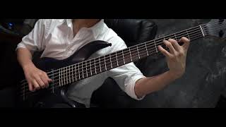 Animals As Leaders  Apeirophobia  Solo On BASS [upl. by Nedry]