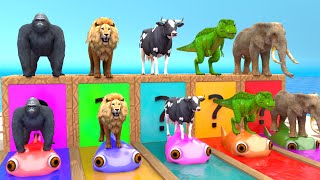 Cow Mammoth Elephant Lion Gorilla Guess The Right Door ESCAPE ROOM CHALLENGE Animals Cage Game [upl. by Politi]