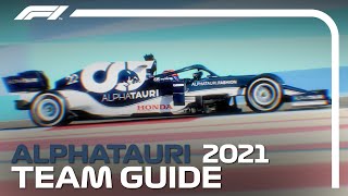 More Success For AlphaTauri in 2021  2021 AlphaTauri Team Guide [upl. by Elenahc]