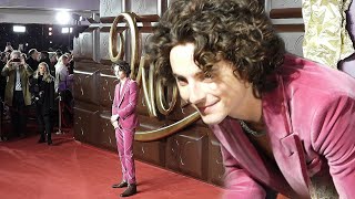 Timothee Chalamet at Wonka Premiere in London [upl. by Wynny]