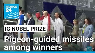 Pigeonguided missiles drunken earthworm study win Ig Nobel prizes • FRANCE 24 English [upl. by Acyssej]