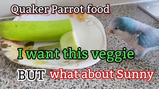 Monk Parakeet is annoying and angry Quaker Parrot Talking [upl. by Ahset]