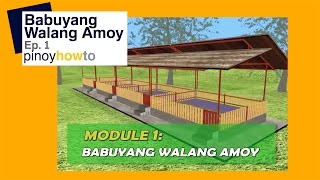 How to Raise Pigs Babuyang Walang Amoy or Odorless Pigpen Episode 1  Pinoy How To [upl. by Ilegna]