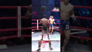 Very crispy buakaw kick is dug shortsvideo kickboxing boxing mma ufc muaythai shorts [upl. by Ecarg137]