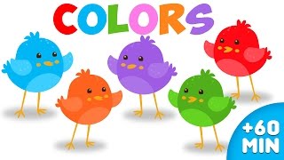 Learn Colors Teach Colours for Babies Toddlers Preschool Nursery Rhymes [upl. by Nored181]