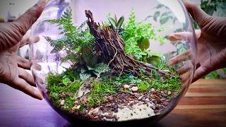 Fish Bowl Terrarium Anyone Can Build [upl. by Zap70]