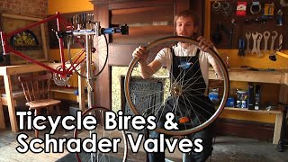 YTP  Ticycle Bires amp Schrader Valves Remastered [upl. by Triplett]