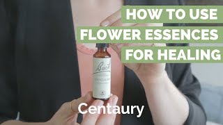 How to use Flower Essences for Healing [upl. by Ettenna]