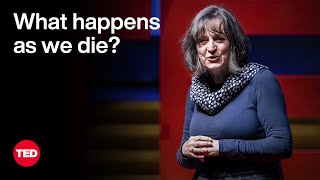 What Happens As We Die  Kathryn Mannix  TED [upl. by Retloc828]