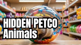 Hidden Creatures Found at Petco [upl. by Aela957]