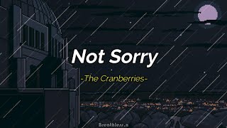 The Cranberries  Not Sorry Sub Español  Lyrics [upl. by Pearson]