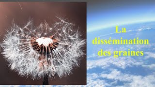 La dissémination des graines [upl. by Octave]