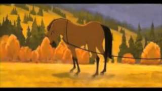 Hula Hoop Song with horses yes Onisions song [upl. by Ahtar]