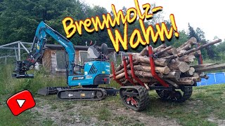 Brennholz sortieren ablängen und transportieren mit SUNWARD SWE18UF Reupload [upl. by Aelam]