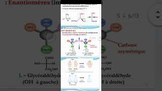 Biochimie les glucides part 2✅ [upl. by Angil599]