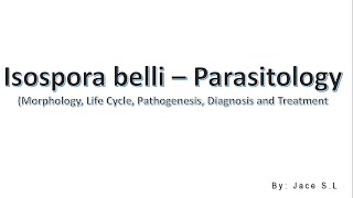 Isospora belli  Parasitology [upl. by Janel]