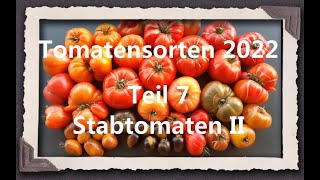 Tomatensorten 2022 Teil 7  Stabtomaten II [upl. by Ellekcim]