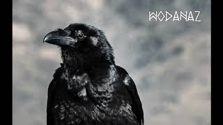 Wodanaz  The Raven Calls [upl. by Nasya]