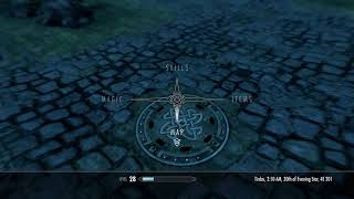 Skyrim SE Random Glitch quotQuick Test Cellquot Quest Marker in Solitude [upl. by Cathy8]