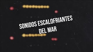 •5 Sonidos Más ATERRADORES Provenientes Del Océano [upl. by Nahtnhoj]