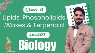 Lipids Phospholipids Waxes amp Terpenoid  Biological Molecules  Biology Class 11  Part 3 [upl. by Walli]