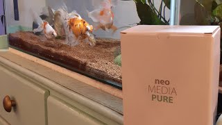 Material filtrante Goldfish  Neo Media Pure [upl. by Eehtomit781]