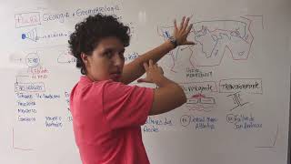 GEOLOGIA E GEOMORFOLOGIA  parte 1 [upl. by Takeo]