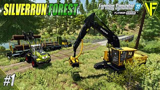 Setting Up In A NEW Place  Silverrun Forest  Farming Simulator 22 [upl. by Cowen]