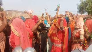 new adivasi dulhan dance video [upl. by Nellad]