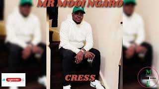 MR MOOI NGARO CRESS [upl. by Tallu]