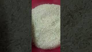 Uncooked rice eatingcrunchy and crispy soundbinkey channelrawriceeatingsound [upl. by Naimerej]