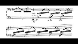 Jean Sibelius  5 Pieces for piano op75 no5 The Spruce wsheet [upl. by Otho]