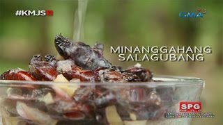 Kapuso Mo Jessica Soho Salagubang delicacy in Nueva Ecija [upl. by Collyer]