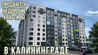 Продаются недорогие квартиры в Калининграде Московский район Обзор Цены [upl. by Crowe]