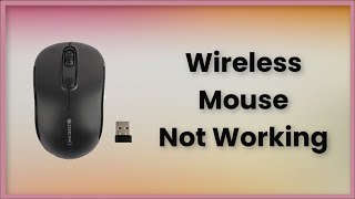 Wireless Mouse Not Working Windows  Fix [upl. by Nnylatsyrk290]