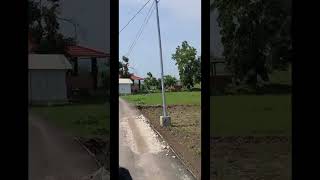 Makam Sunan Kalijogo Raden Mas Sahid versi alm Gus Dur di SenoriTuban [upl. by Enale255]