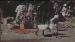 Khartoum And Kosti In Sudan 1950s  Film 97933 [upl. by Phillips896]