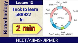 Trick to Learn pBR322 in 2 min  In Hindi  Biotechnology  NEET  AIIMS [upl. by Nerland211]