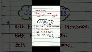 biology prokaryotic cells and Eukaryotic cells difference  similarities  diagram of Both cells [upl. by Earle]