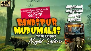 കാട്ടാനക്കൂട്ടം ബസിന് നേരെ പാഞ്ഞടുത്തപ്പോൾ  Bandipur  Mudumalai Forest Dangerous Night Bus Safari [upl. by Ykcub107]