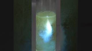 The amazing chemiluminescence of luminol [upl. by Skyla864]