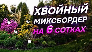 💥29 хвойных для 6 СОТОК в чем СЕКРЕТ гармоничных композиций [upl. by Ammon]