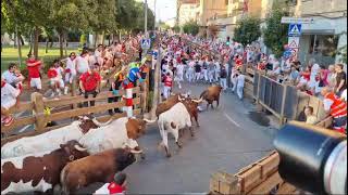 Primer encierro Fiesta de Tudela 2024 [upl. by Lucretia795]