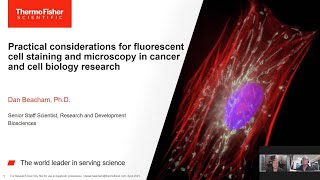 Practical considerations for fluorescent cell staining amp microscopy in cancer cell biology research [upl. by Grefer]