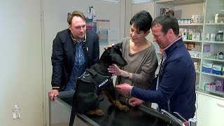 Dr Pet  Die Tiersprechstunde Folge 1 [upl. by Harlow]