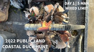 HUNTING PUBLIC LAND COASTAL DUCKS  DaY ONE  PINTAILS EVERYWHERE [upl. by Eneja]