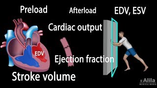 Cardiac Output Stroke volume EDV ESV Ejection Fraction [upl. by Lletnahc]