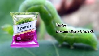 Faster chlorantraniliprole 04 ww GR Insecticide फास्टर कीटनाशक दवाई [upl. by Deva389]