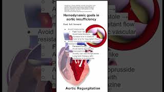 Hemodynamic goals in aortic insufficiency [upl. by Hajed757]