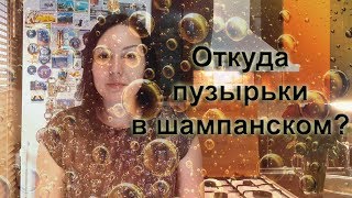 Откуда пузырьки в шампанском  Винный Ликбез [upl. by Sheley]